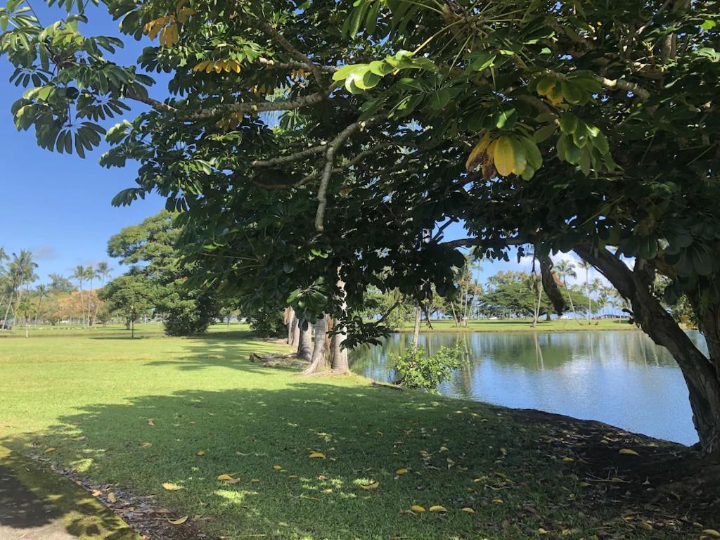 Stunning Views Best Location In Hilo 2Br Modern Condo Exterior foto
